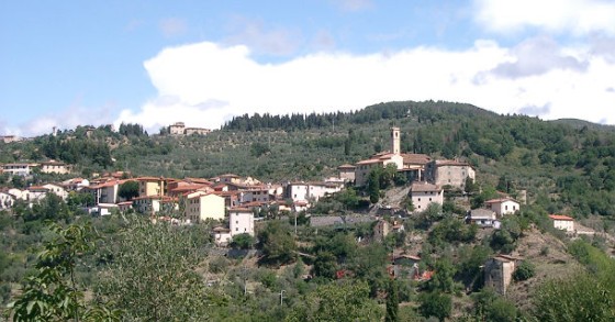 Pelago, informazioni sul comune