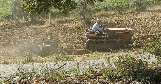Come ottenere un mutuo agrario