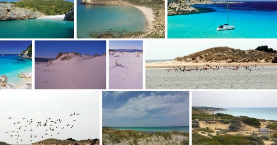 principale_spiagge