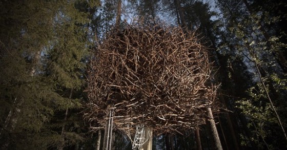Una stanza d'hotel a forma di nido d'uccello in una suggestiva foresta svedese (fotogallery) 