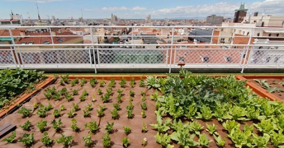 A madrid l’orto urbano più grande del mondo (foto)