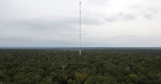 La torre più alta del sudamerica svetta nel mezzo della foresta amazzonica (fotogallery)