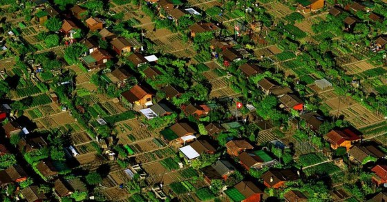 Il quartiere svizzero nel quale ogni famiglia ha un proprio orto (Fotogallery)