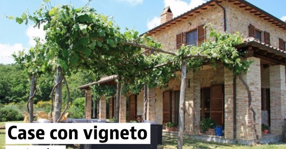 Case con vigneto e terreno in vendita