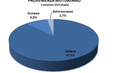 Quarantenne, con un posto fisso e di origine italiana: ecco l'identikit di chi ottiene un mutuo oggi (grafici)