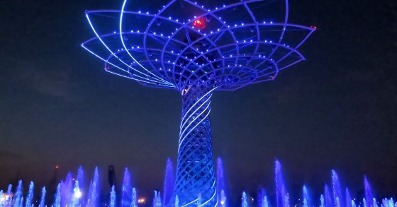 L'Albero della Vita illuminato