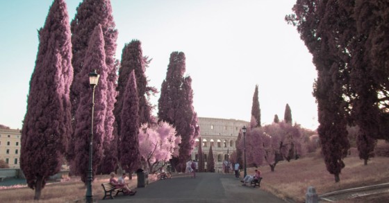 Roma dipinta di rosa: la Capitale vista attraverso una camera a infrarossi