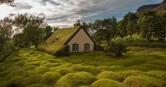 Quando una casa cresce sotto il giardino: ecco spettacolari dimore immerse nella natura