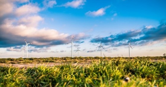Legge di Stabilità 2017, 15 proposte di Legambiente per una finanziaria "green" (senza nuove tasse)