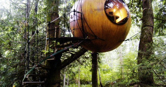 Dormire galleggiando nei boschi su una sfera che pende da un albero
