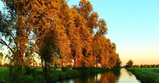 Le più belle Riserve Naturali della Biosfera in Italia