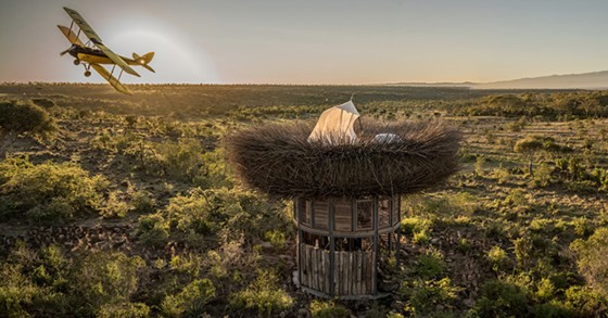 Un favoloso nido d’amore nella savana africana