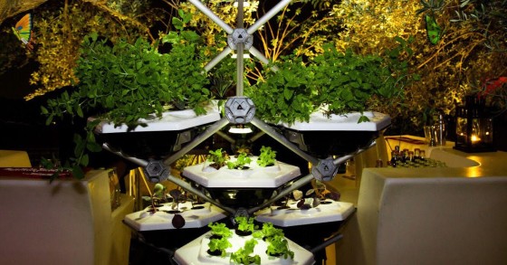 Living Farming Tree: l'orto indoor, smart e sostenibile approda a Milano