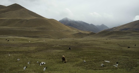 L'esenzione Imu per i comuni montani e parzialmenti montani è legittima