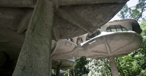 Quando le case crescono letteralmente come funghi