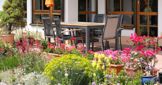 Quali sono i vantaggi di creare un giardino dentro casa