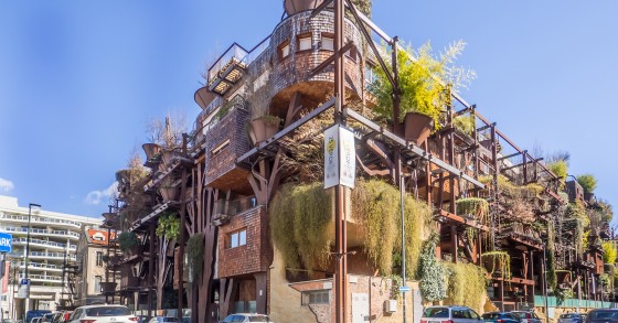 Casa Foresta