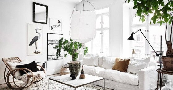 8 idee per avere una casa eco friendly 