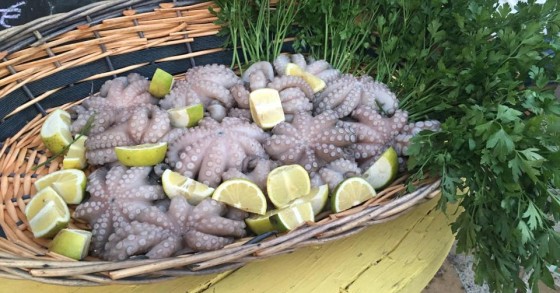 Pulpo crudo de Bari, una especialidad italiana / facebook.com/Nonna-Rosa-osteria-203559429671298