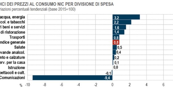 L’indice dei prezzi al consumo Nic per divisione di spesa