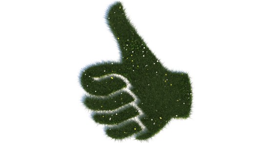 Decreto ambiente, quali sono le misure che vuole introdurre il nuovo governo?
