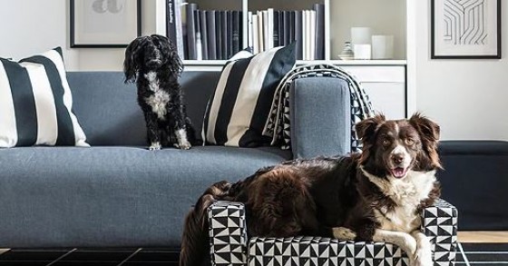 Ikea lancia una nuova collezione per gli animali in casa