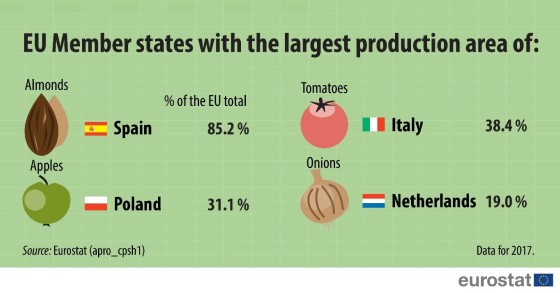 Immagine del giorno: l’Italia è il maggior produttore di pomodori in Europa