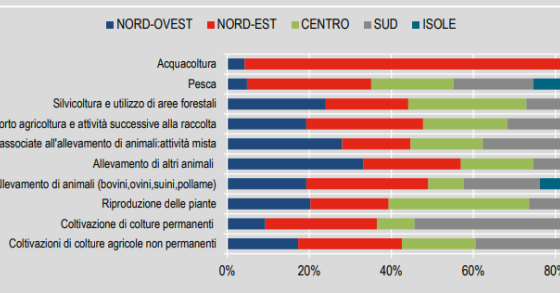 Imprese agricole per attività economica e zona geografica