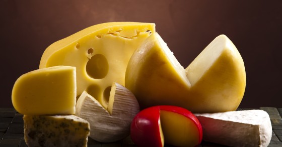 Adotta una mucca di Costalta e ricevi prodotti genuini, l'iniziativa di una Cooperativa