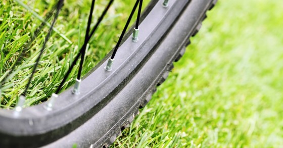 Vacanze in bicicletta: i luoghi dove andare in Italia