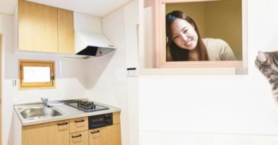 Appartamenti in affitto per single con un gatto, l'ultima moda immobiliare giapponese