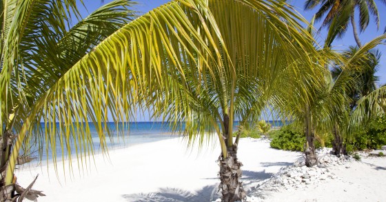 Vivere e fare smart working nel paradiso delle Isole Cayman a una condizione: guadagnare 85.000 euro