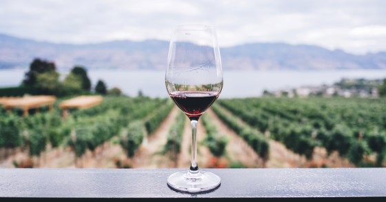 Photo de Kym Ellis sur Unsplash