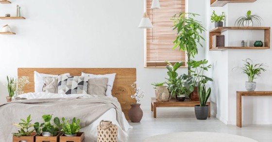 Come arredare una casa in affitto spendendo poco