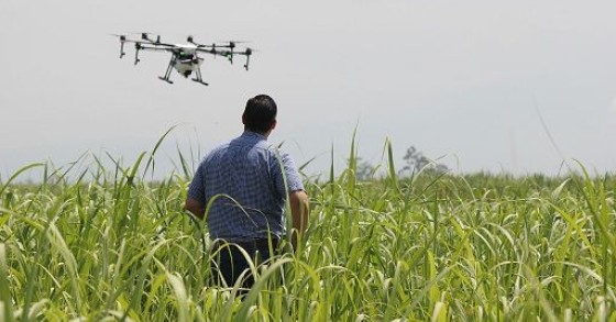 Smart agriculture, il governo valuta un voucher
