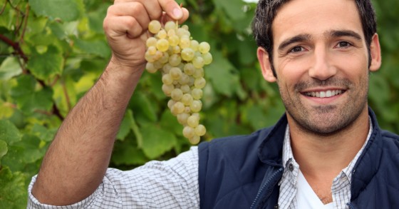 Alla cantina Le Manzane vendemmia solidale per la LILT