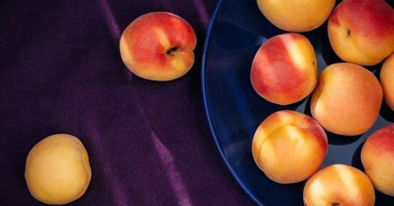 Coldiretti: in paesi G20 quasi 1 mld tonnellate cibo nel bidone