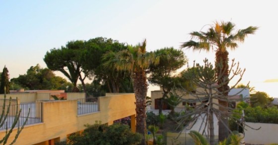 Per 420 mila euro puoi comprarti questa villa con parco davanti al mare alle Egadi
