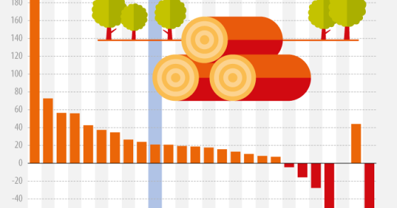 La produzione del legno in Europa è aumentata del 20% in 20 anni
