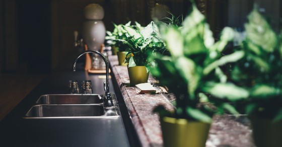 Piante da interno che necessitano di poca luce