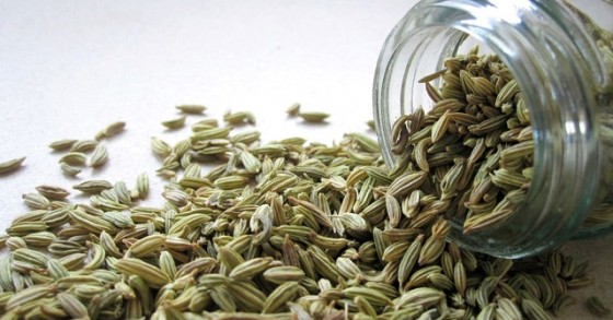 Piante aromatiche e medicinali: come creare un orto della salute in casa 