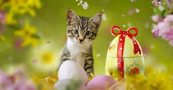 Pasqua 2022, data e calendario