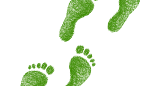 Green pass dal 31 marzo