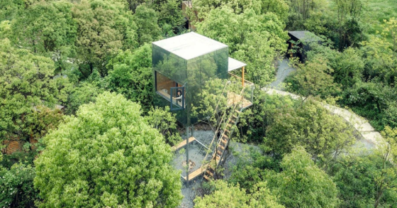 La particolarità di queste case prefabbricate perse nella foresta fuori da Wuhan