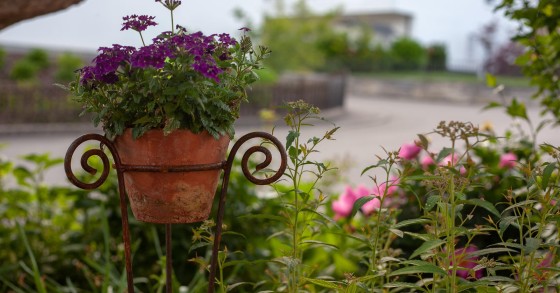 Giardino