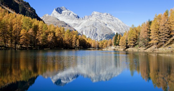 Svizzera