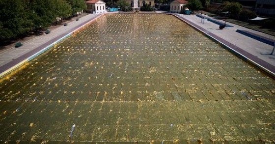 La piscina d'oro, i sorrisi e i passeggini: Nari Ward a Milano
