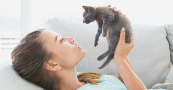 gatto in casa
