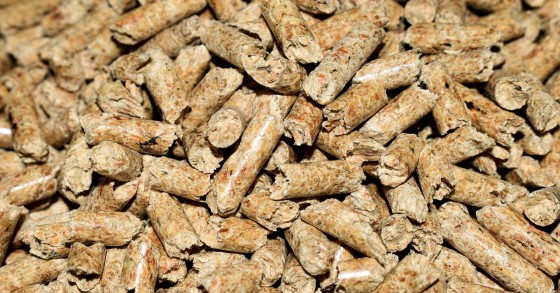 pellet