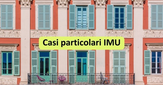casi particolari imu